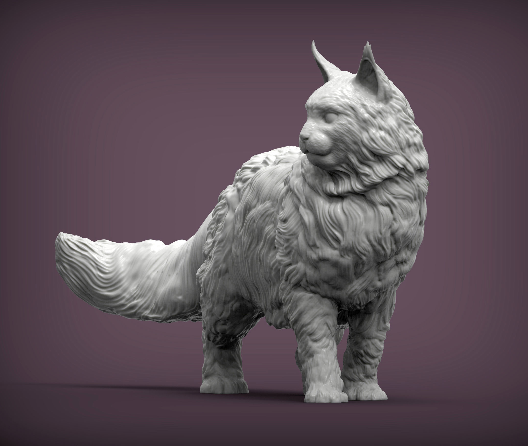 Maine Coon 3D print model_1