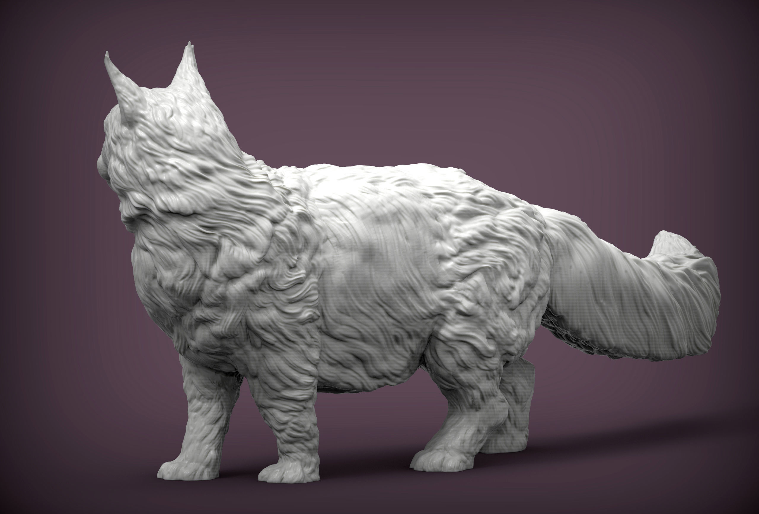 Maine Coon 3D print model_4