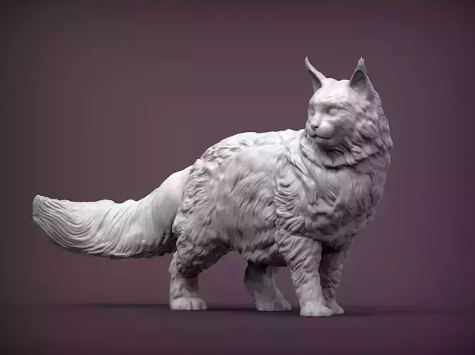 Maine Coon 3D print model