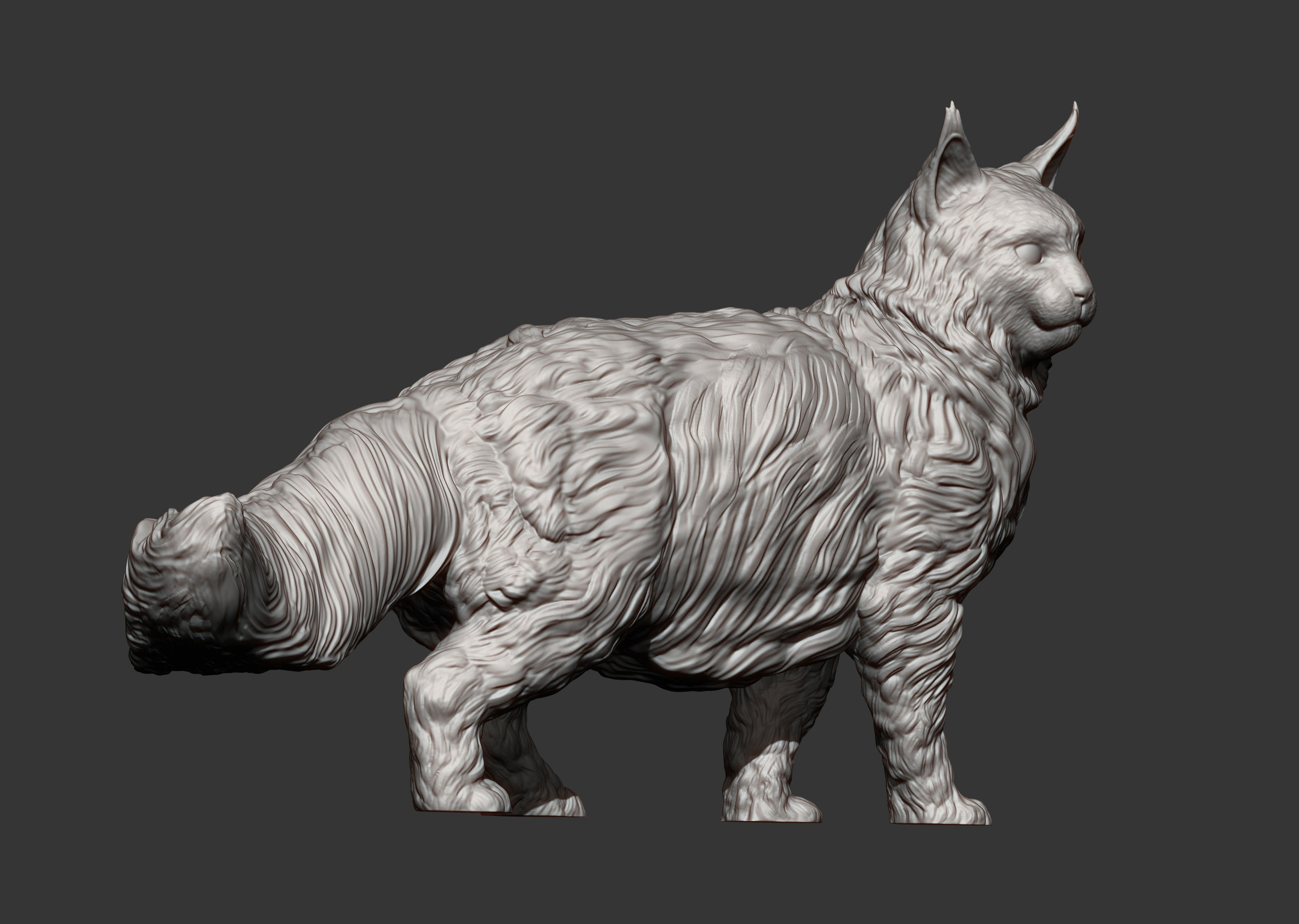 Maine Coon 3D print model_11