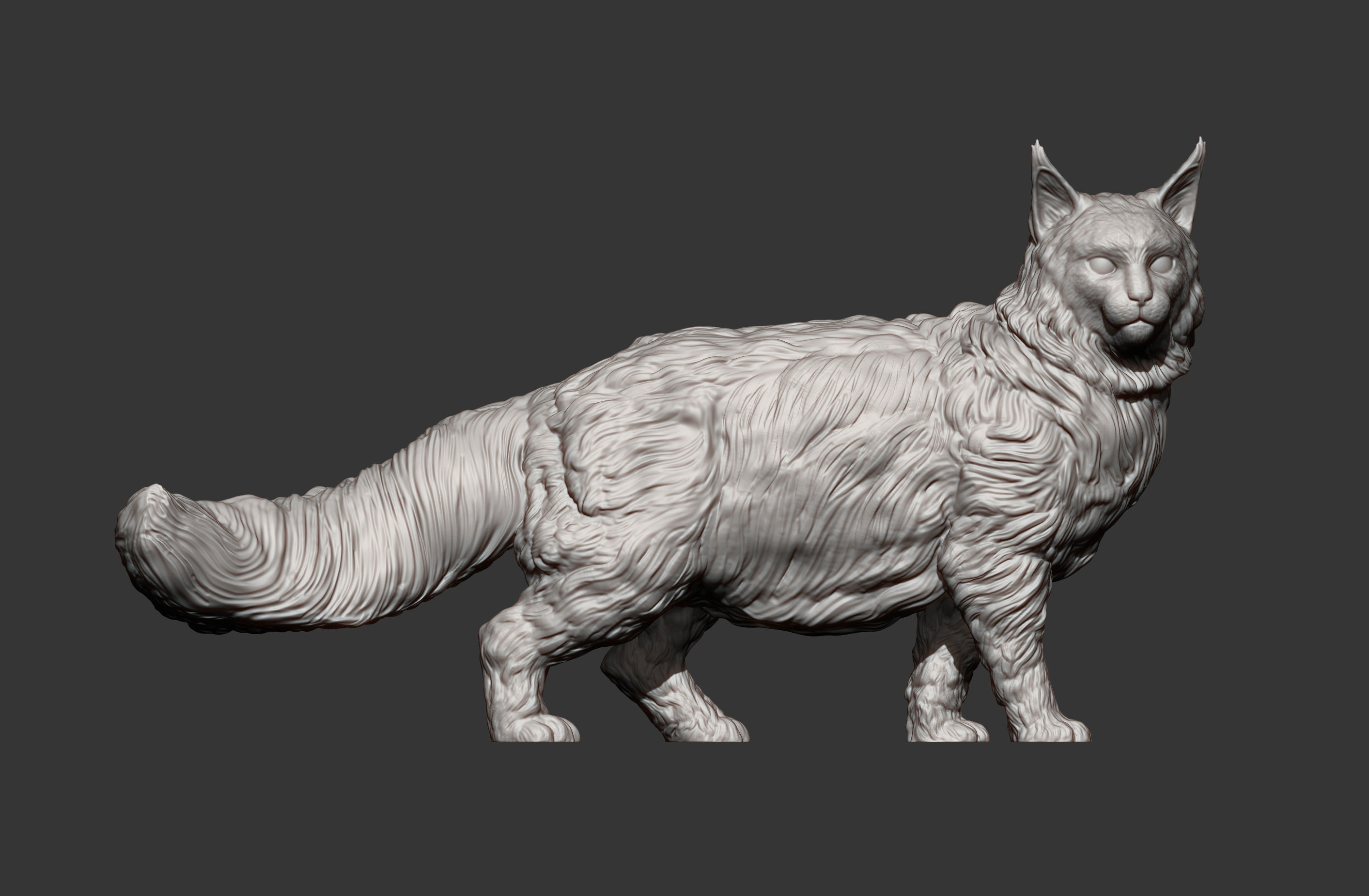 Maine Coon 3D print model_10