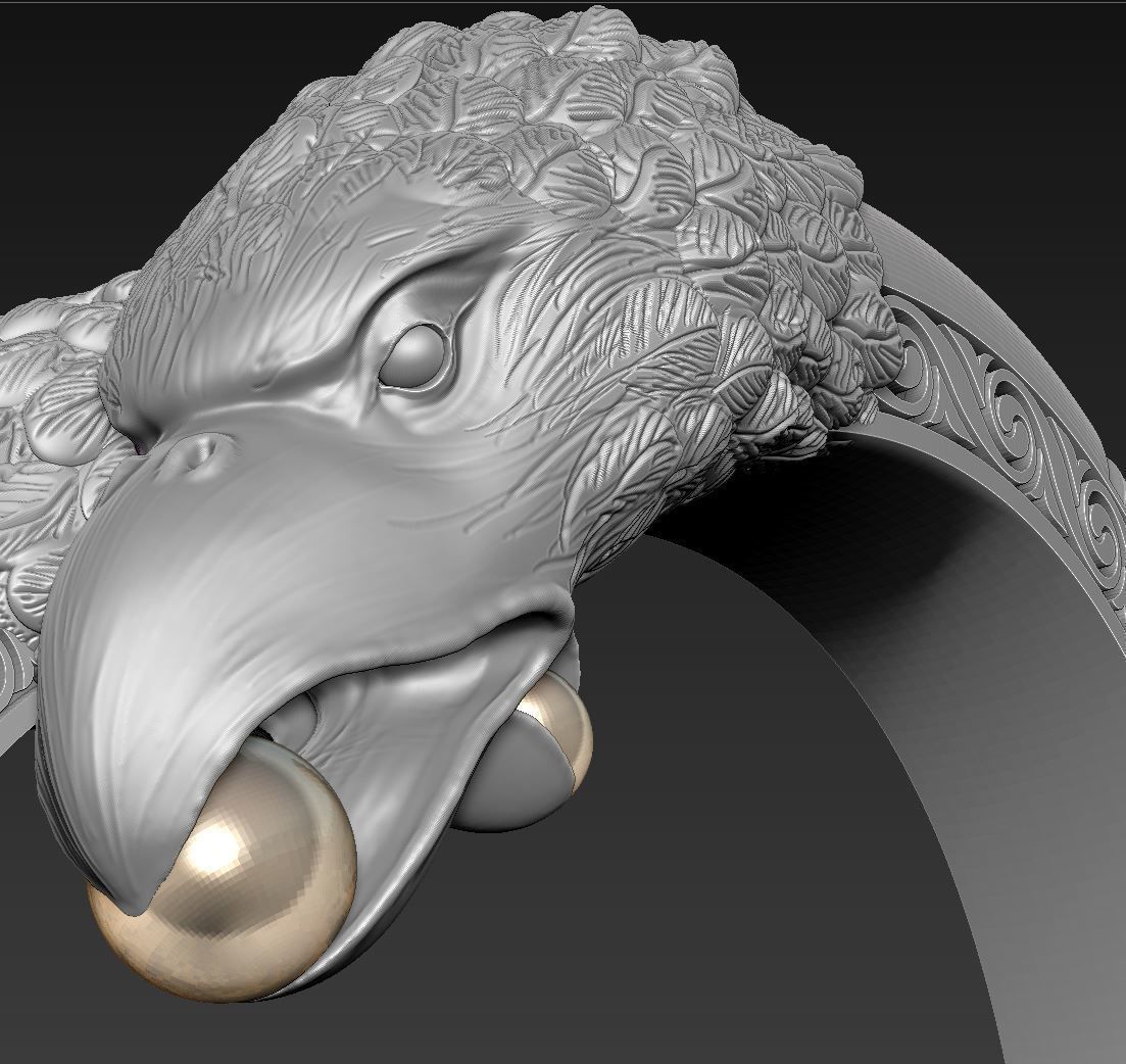 ring eagle 3D print model_5