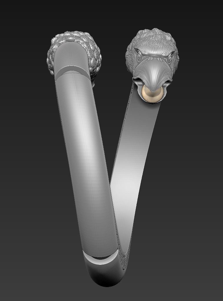 ring eagle 3D print model_3