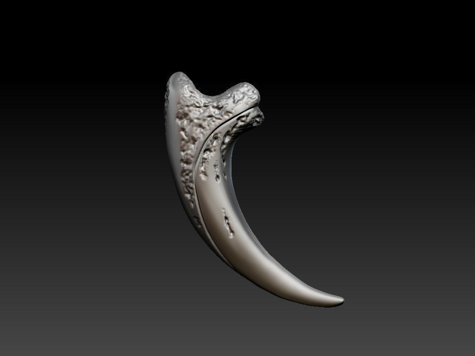 Bear claw 3D print model_14