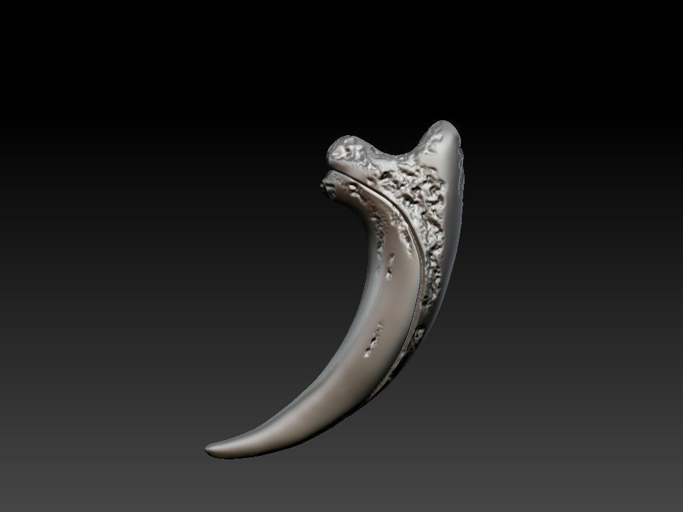 Bear claw 3D print model_1