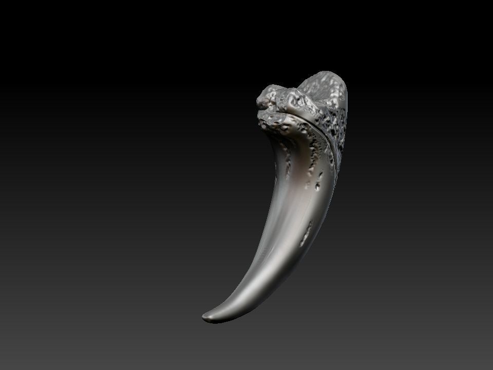 Bear claw 3D print model_26