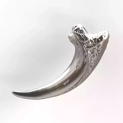  Bear claw 3D print model