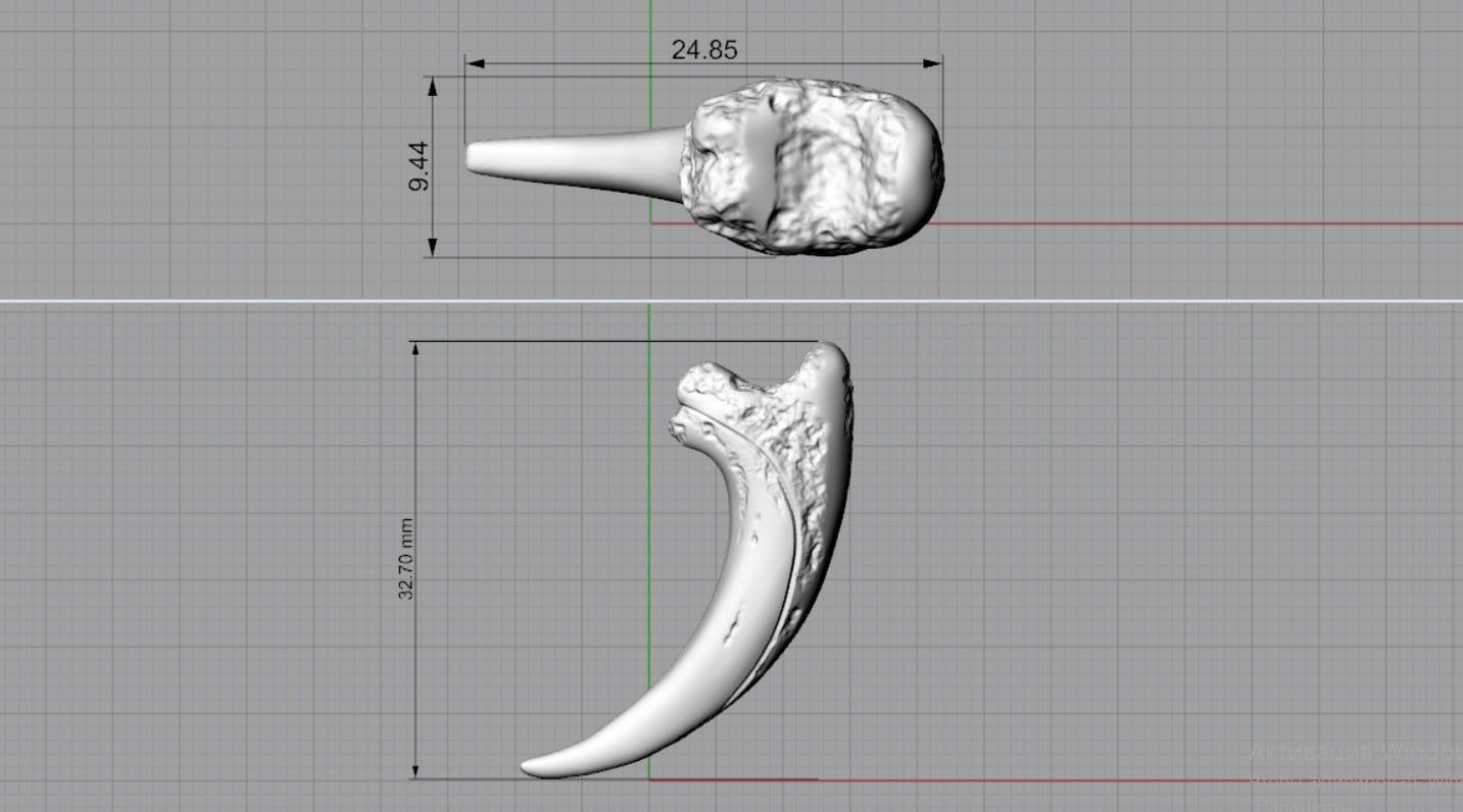 Bear claw 3D print model_24