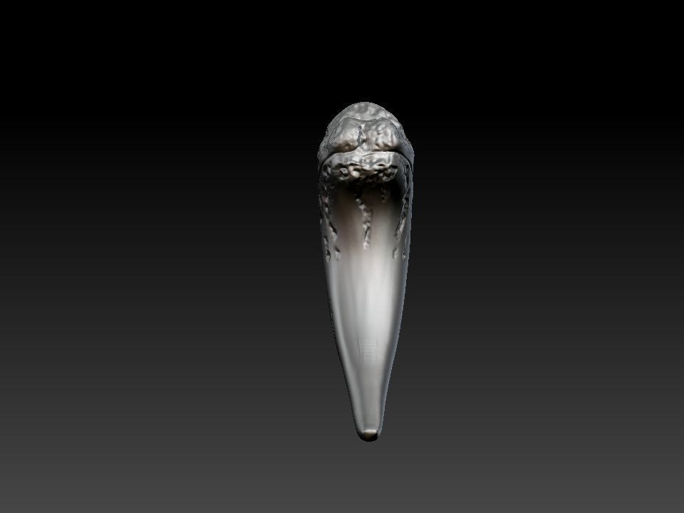 Bear claw 3D print model_19