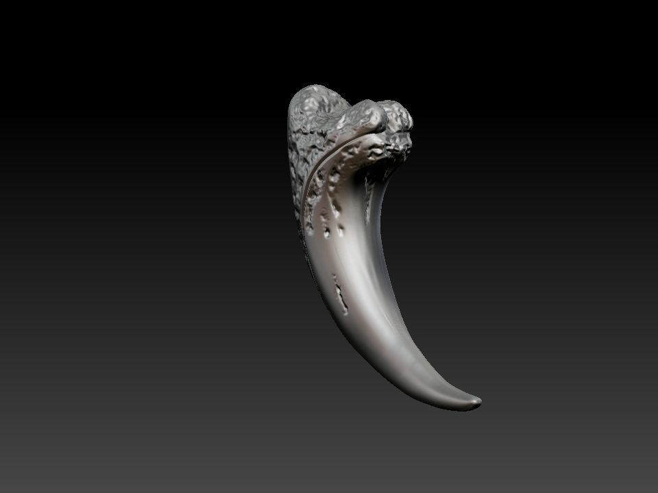 Bear claw 3D print model_9