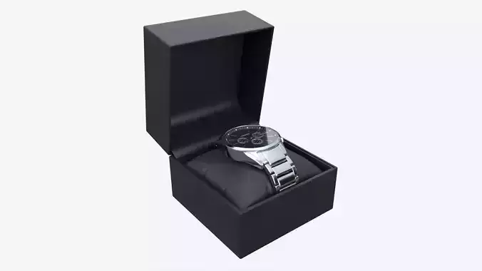 Wristwatch with Steel Bracelet in box 02