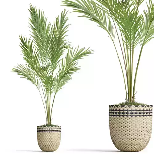 Plants collection 774