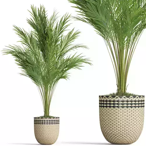 Plants collection 775