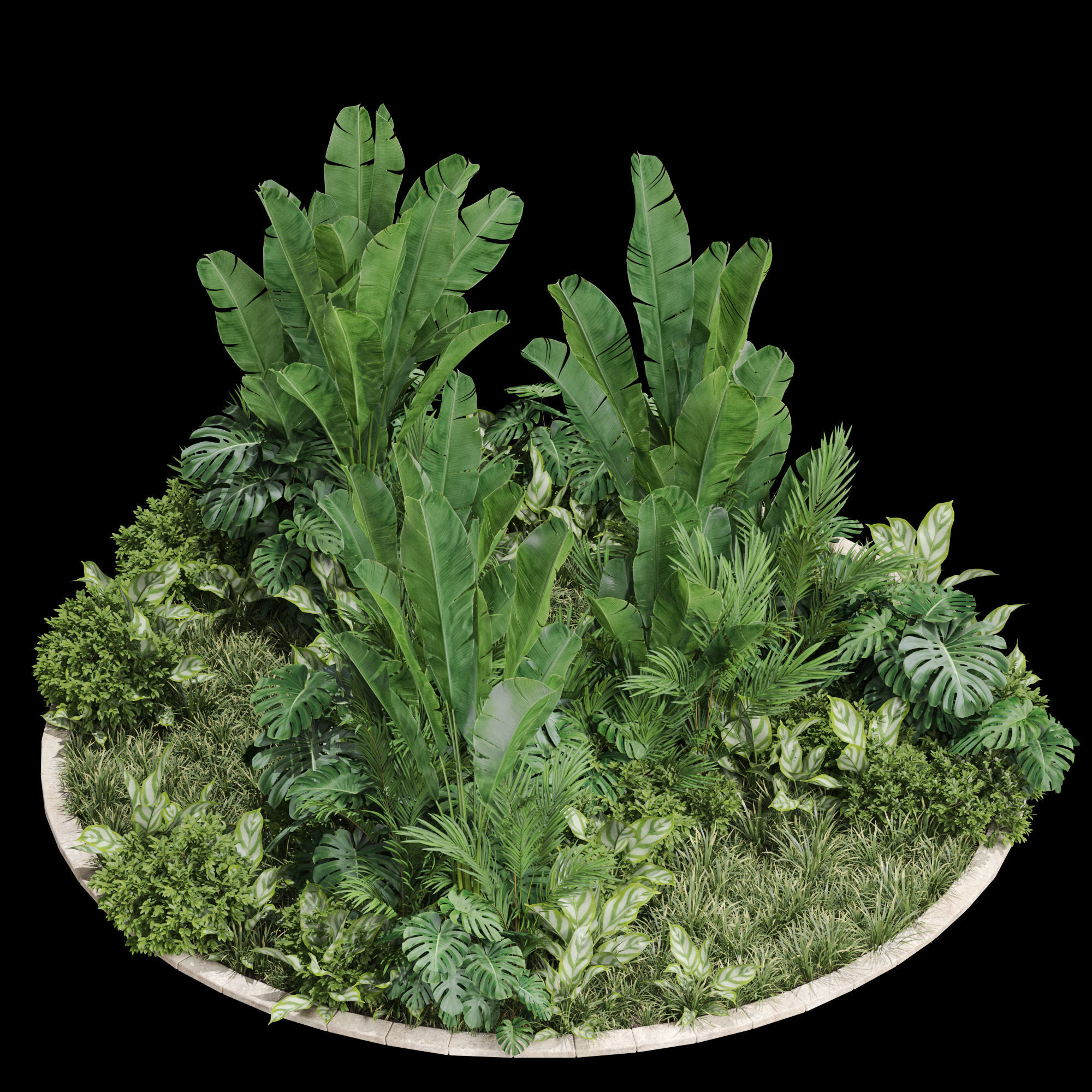 Plants collection 777 3D model_1