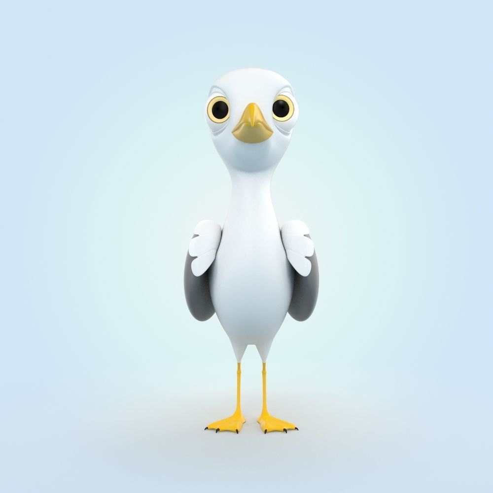 Seagull 3D model_4