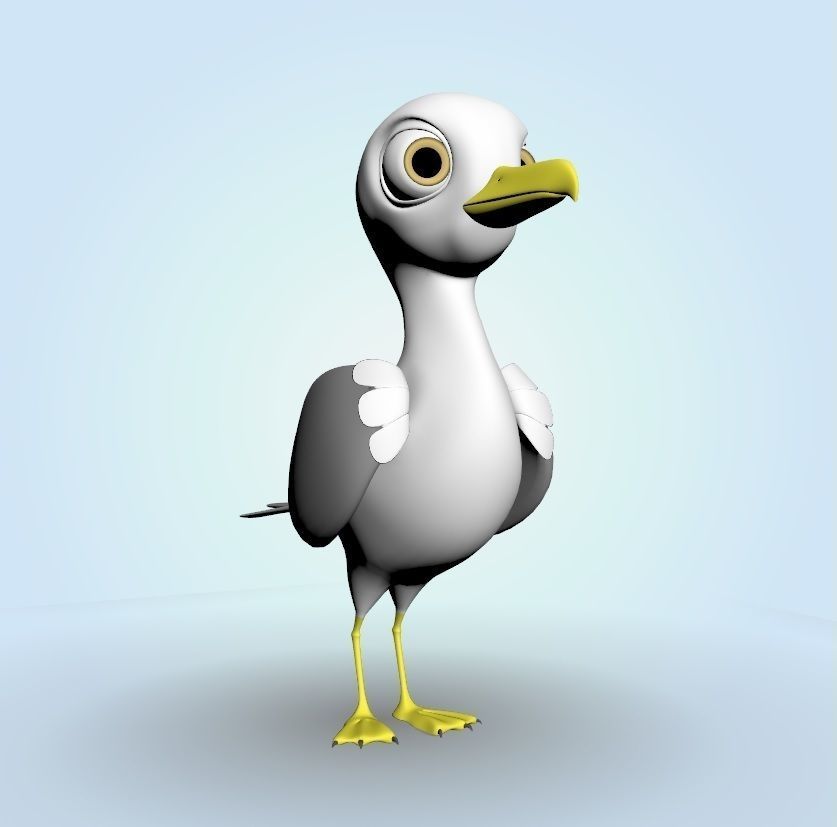 Seagull 3D model_5