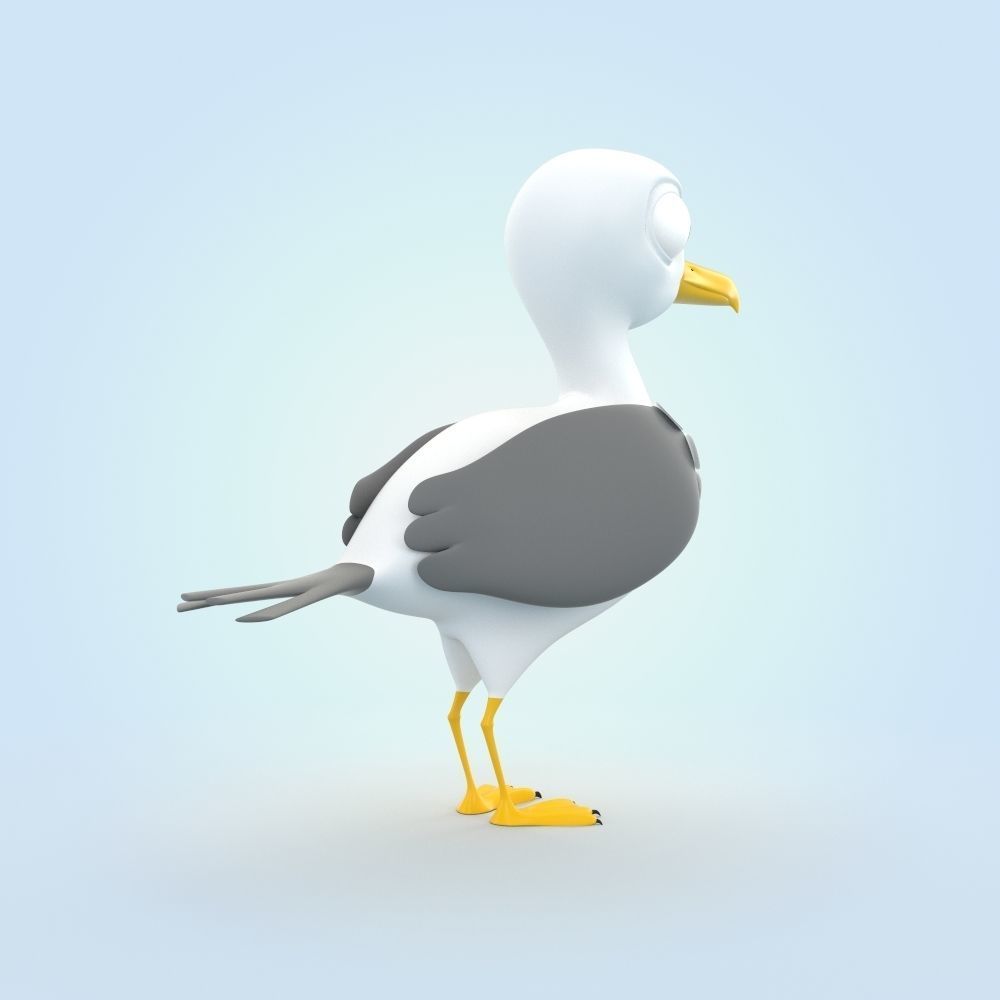 Seagull 3D model_1