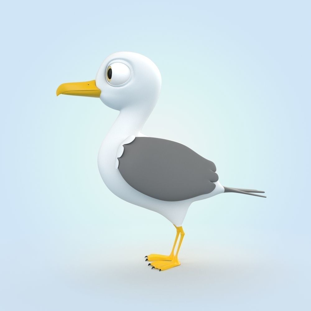Seagull 3D model_3