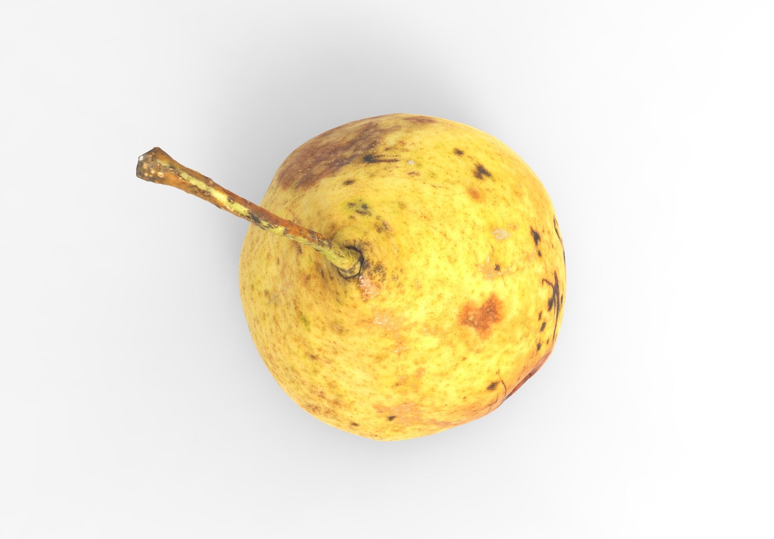 Pear 3d model Low-poly 3D model_3