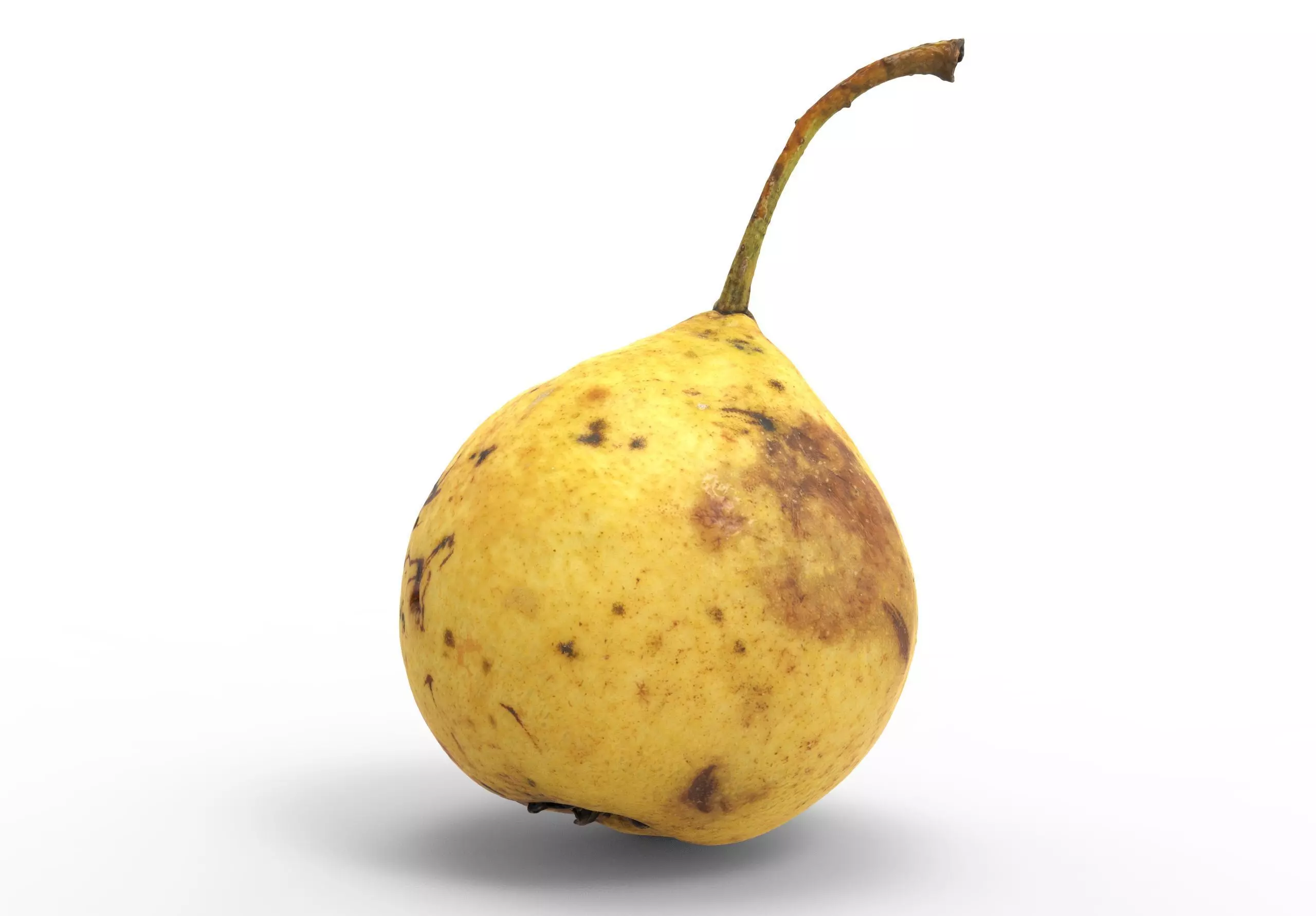 Pear 3d model Low-poly 3D model_2