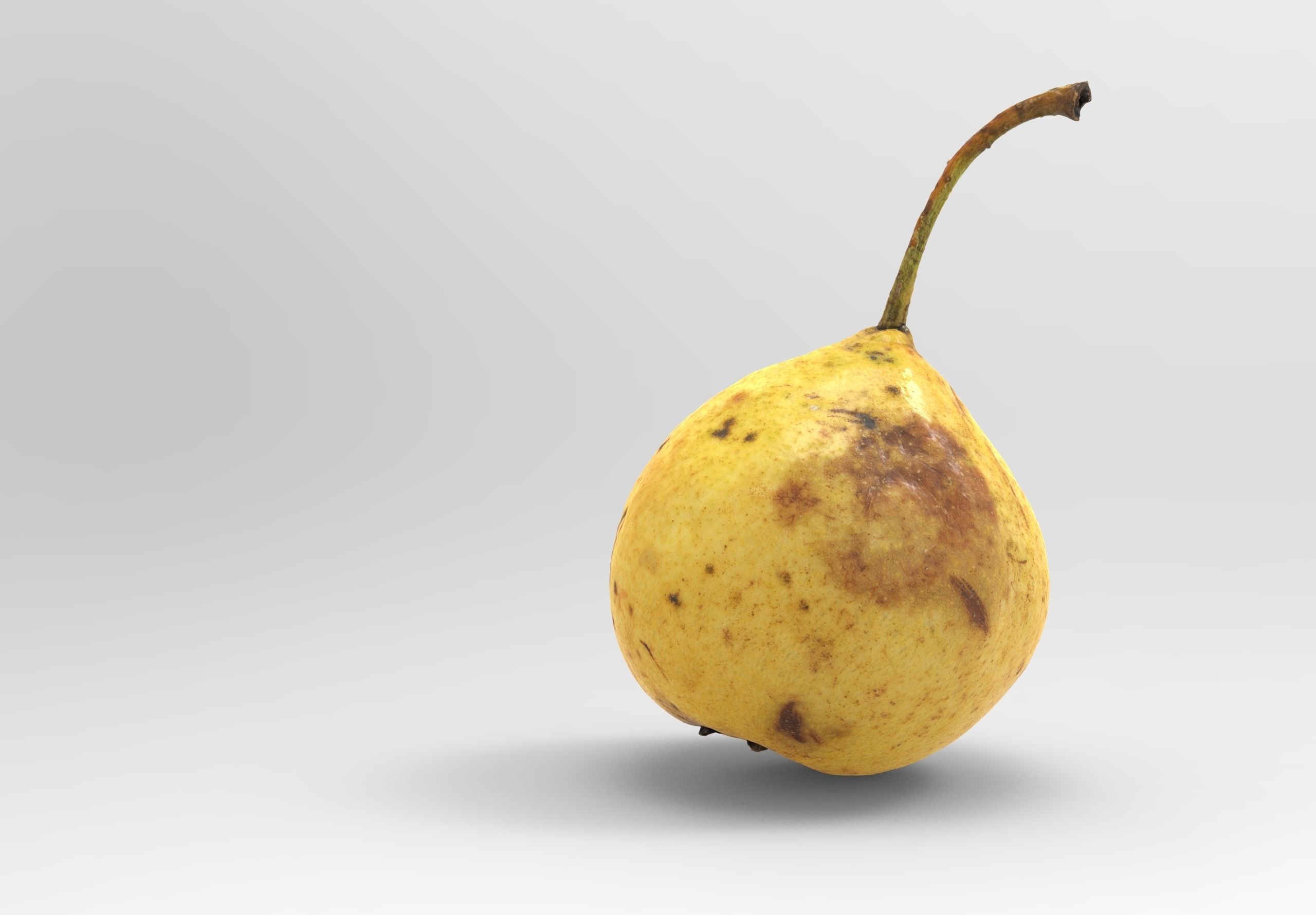 Pear 3d model Low-poly 3D model_5