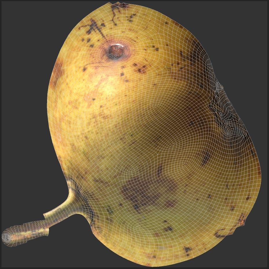 Pear 3d model Low-poly 3D model_8