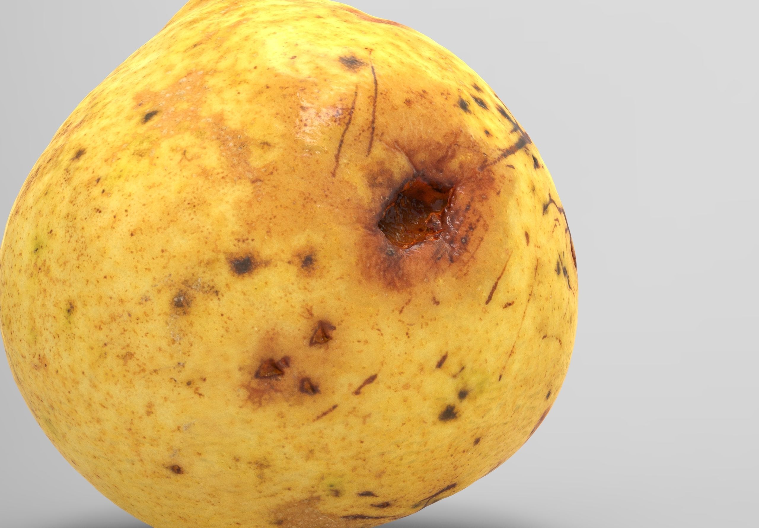Pear 3d model Low-poly 3D model_4