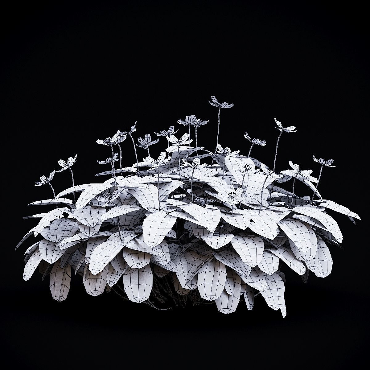 Anemona nemorosa flower 3D model_6