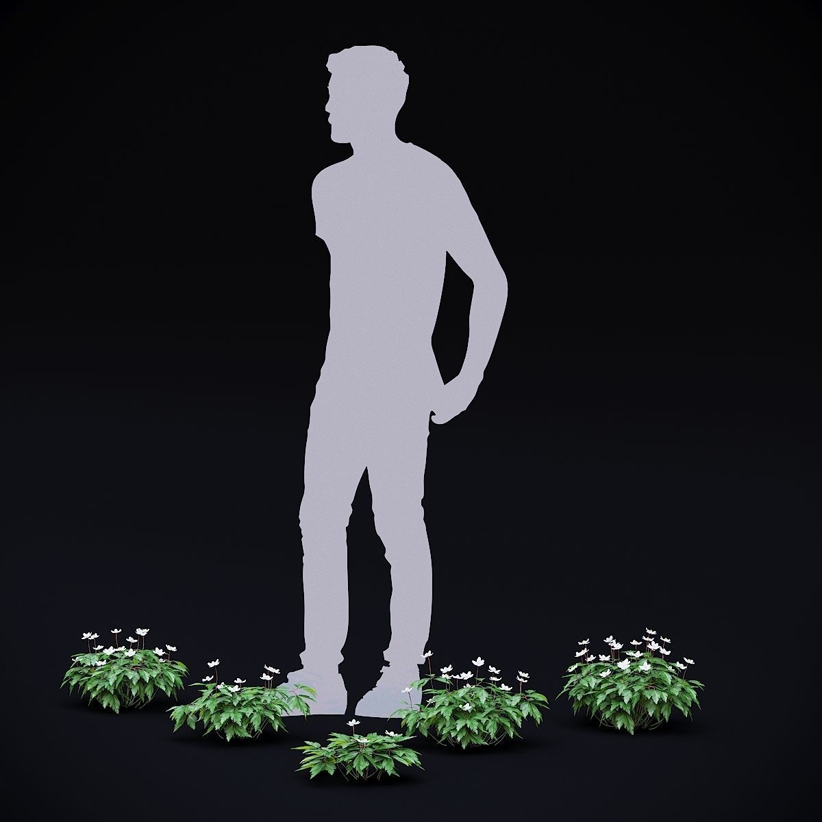 Anemona nemorosa flower 3D model_4