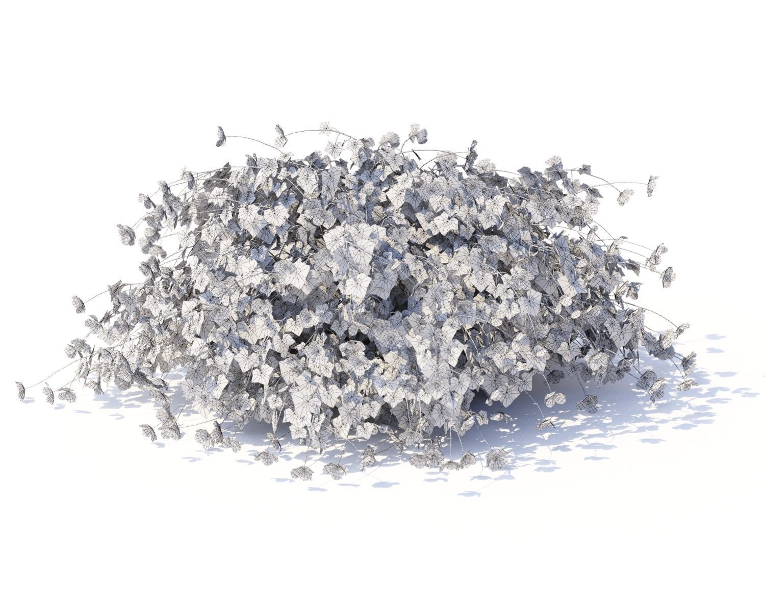 Geranium hybride Rozanne 3D model_4