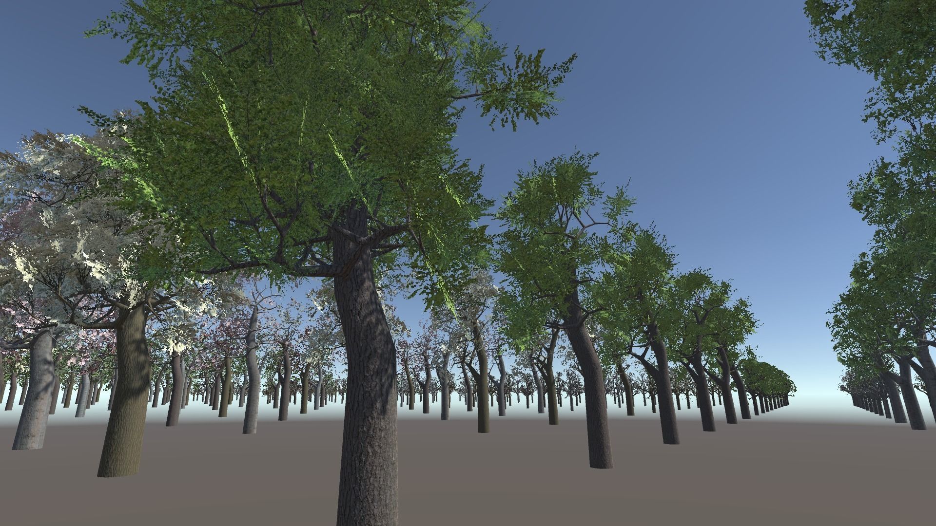 Tree Collection 01 Low-poly 3D model_5