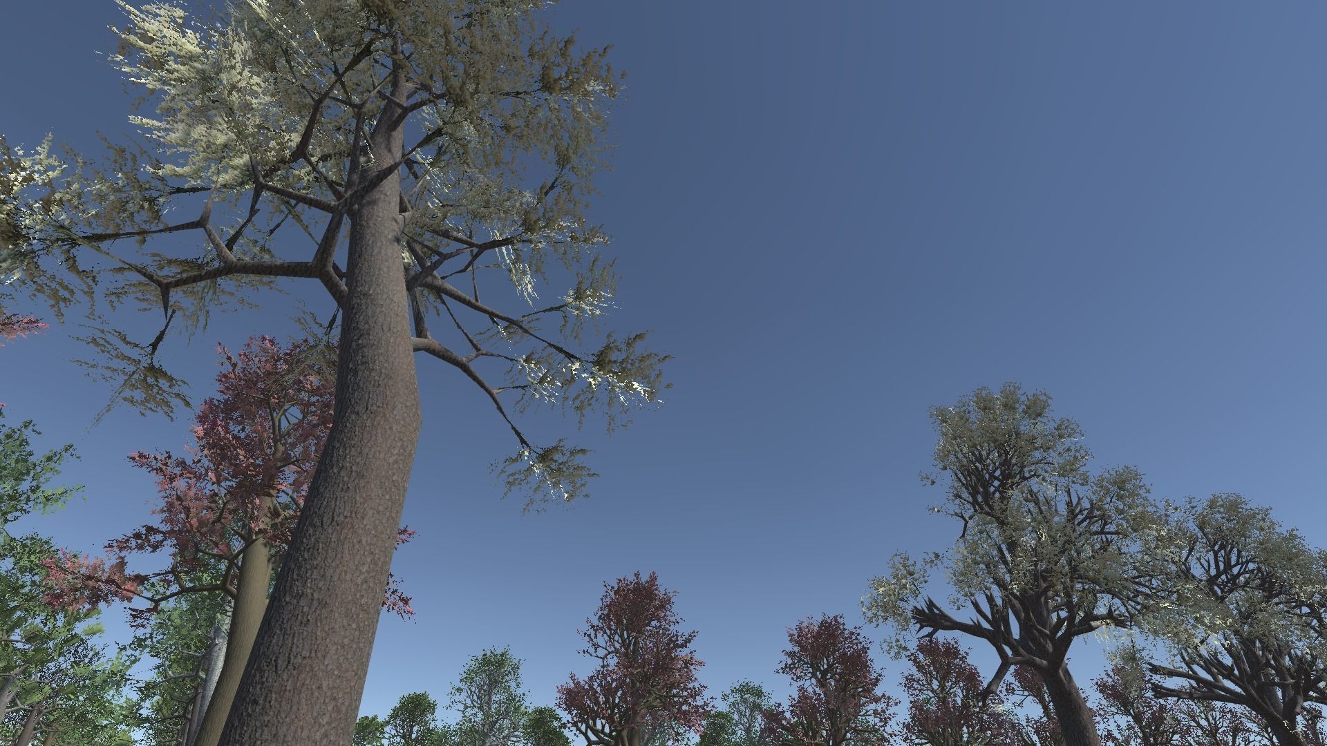 Tree Collection 01 Low-poly 3D model_3