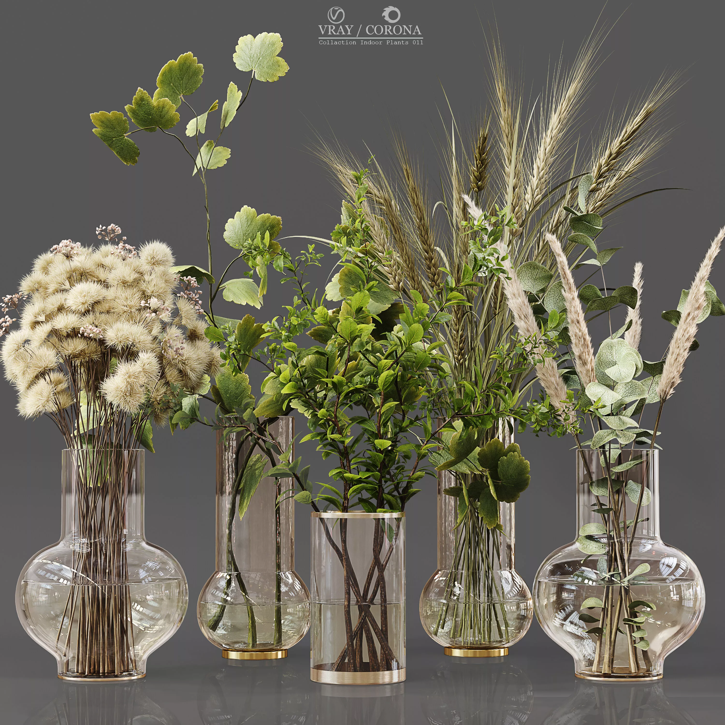 Collection Indoor Plants 011 3D model