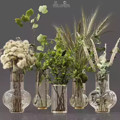 Collection Indoor Plants 011