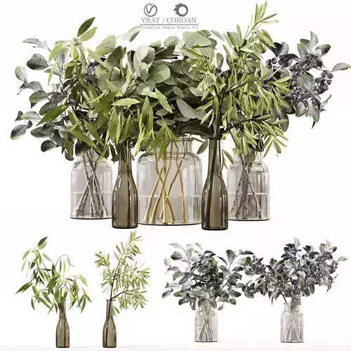 Collection Indoor Plants 013 3D model