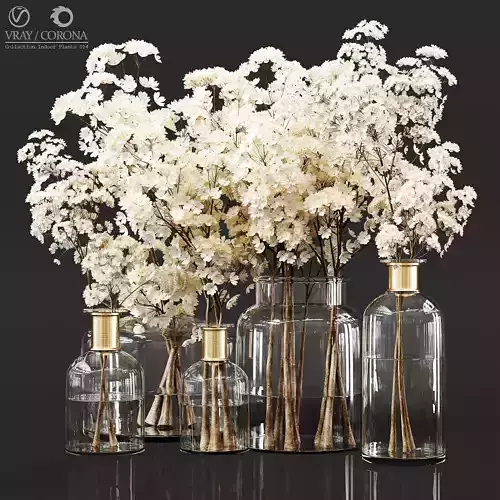 Collection Indoor Plants 014