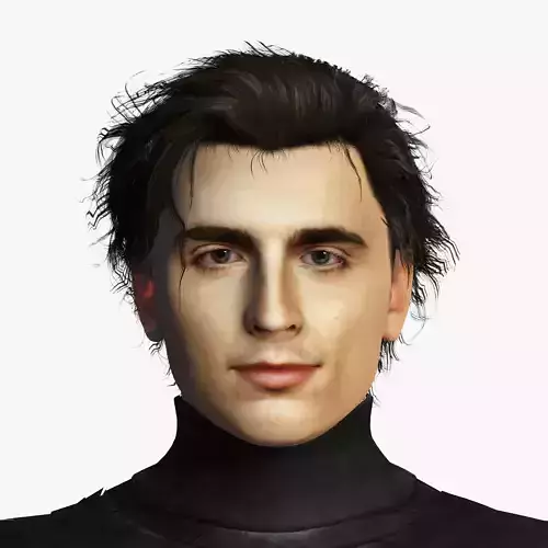 Timothee Chalamet 3D Rigged model ready for animation Low-poly 3D model