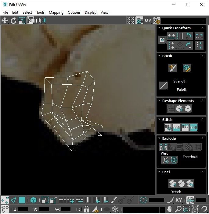 Hand Bones 3D model_32