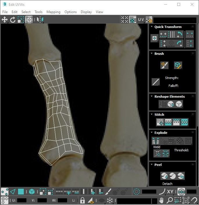 Hand Bones 3D model_18
