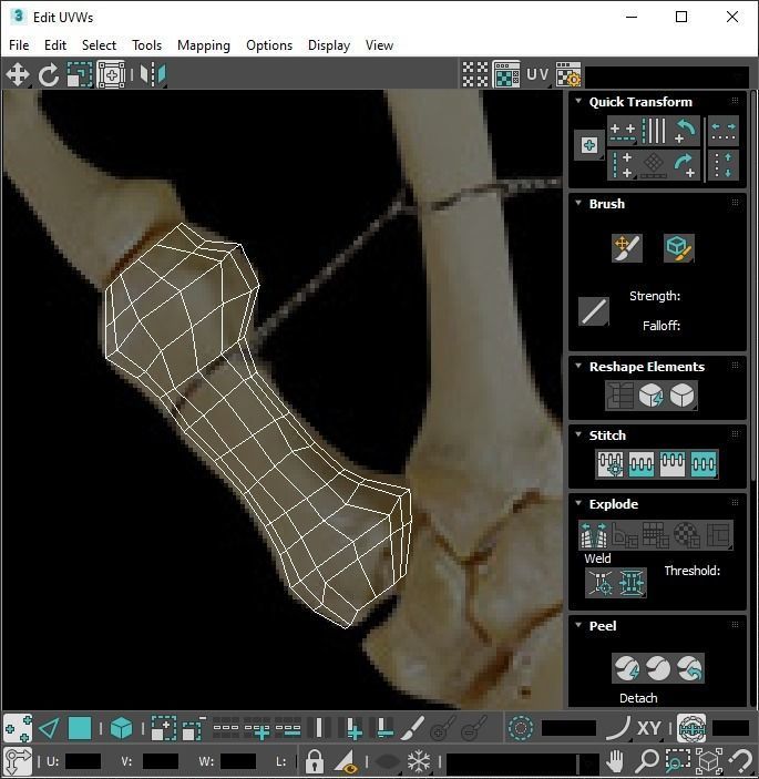Hand Bones 3D model_25