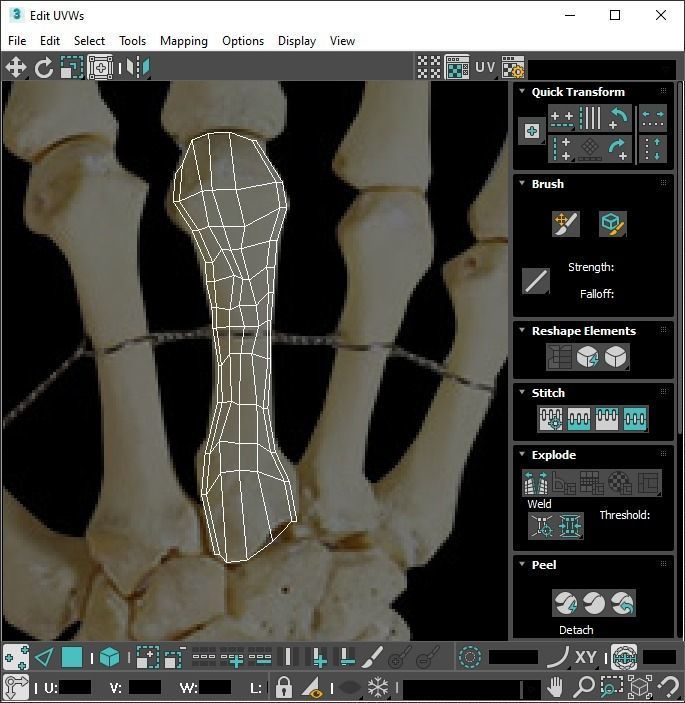 Hand Bones 3D model_21