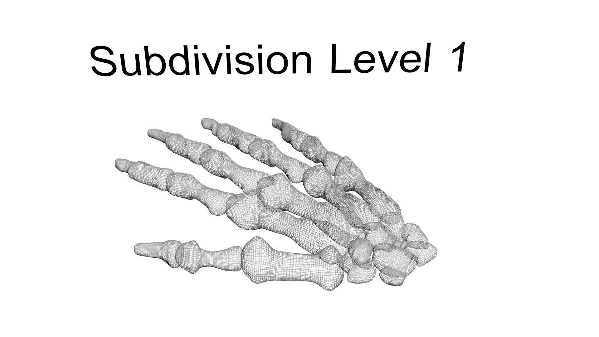 Hand Bones 3D model_12