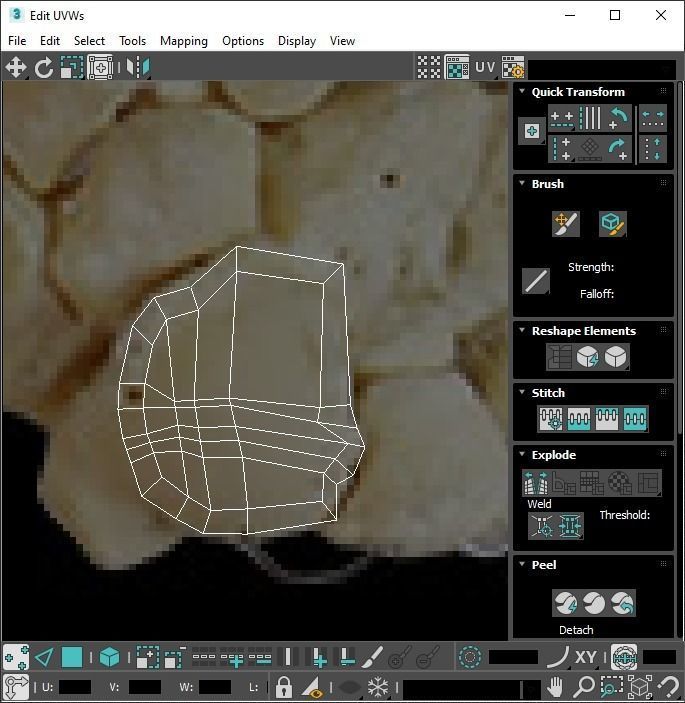 Hand Bones 3D model_35