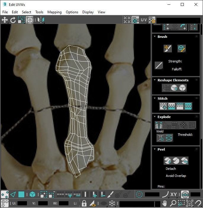 Hand Bones 3D model_24