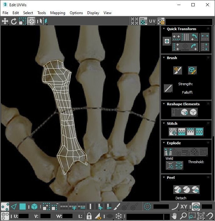 Hand Bones 3D model_20