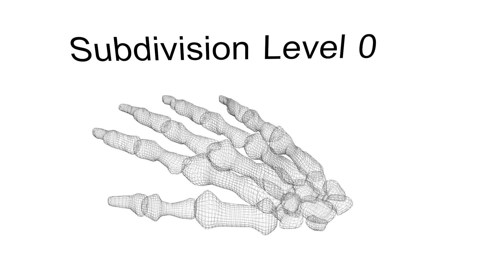 Hand Bones 3D model_13
