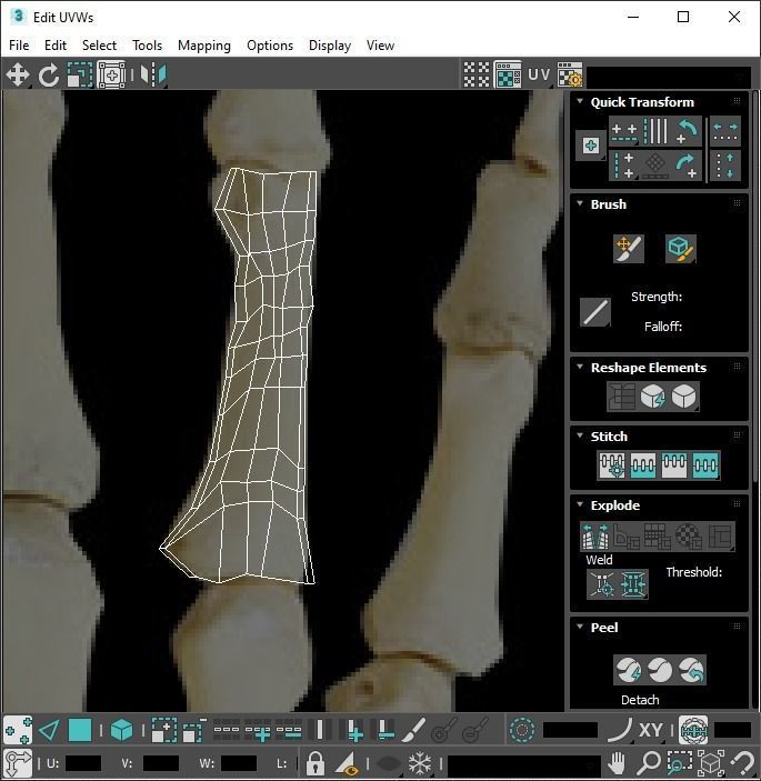 Hand Bones 3D model_39