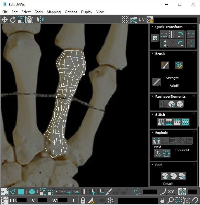 Hand Bones 3D model_26