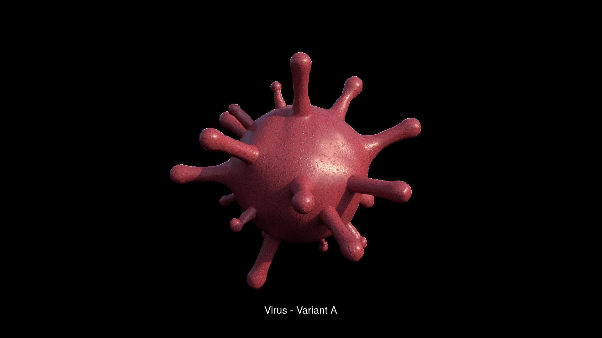 Lab Collection Pack _14