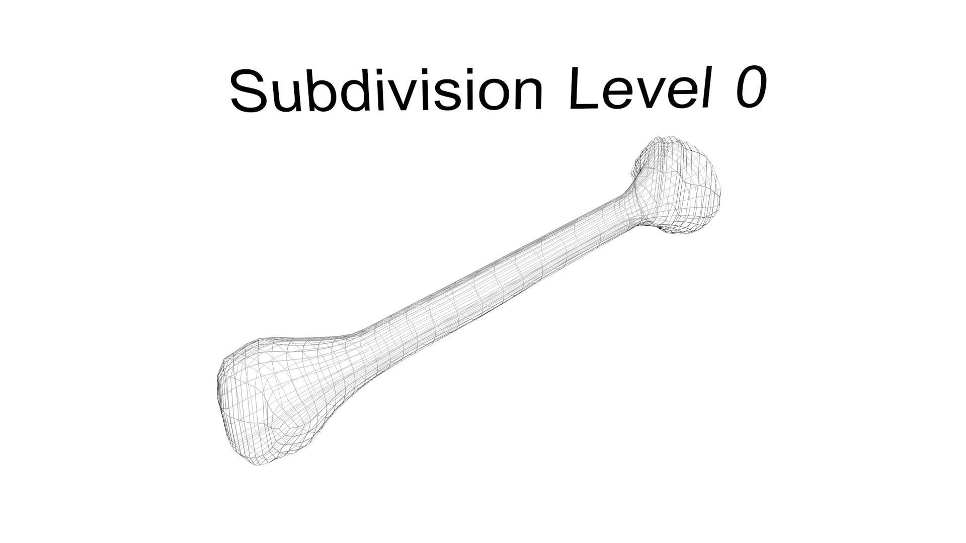 Human Bone 3D model_12